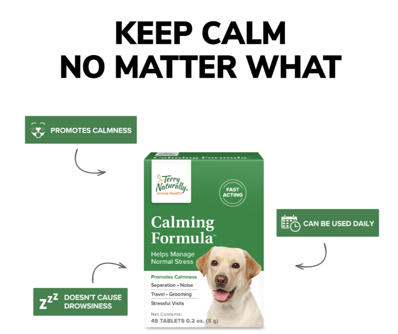 Active Mobility For Pets