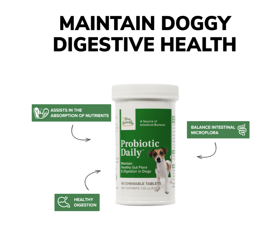 Probiotic Daily™ Formulated for Pets