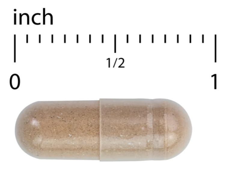 Adaptra