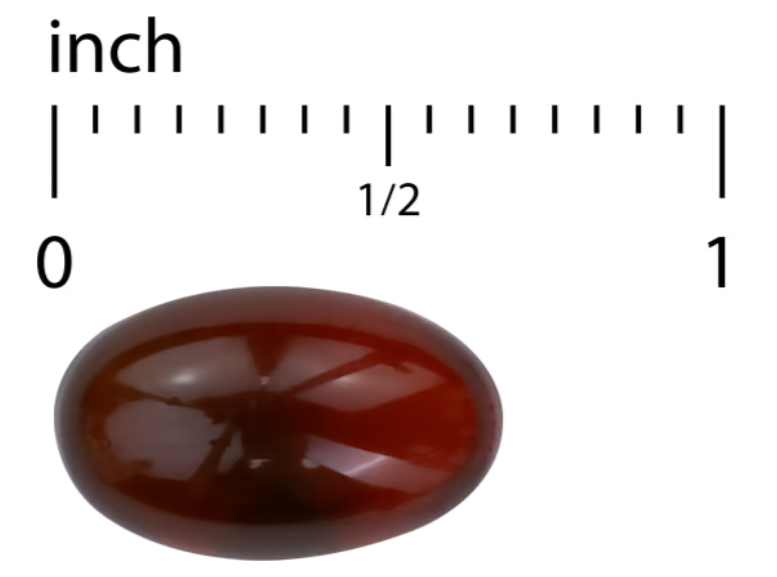 Bacteril™