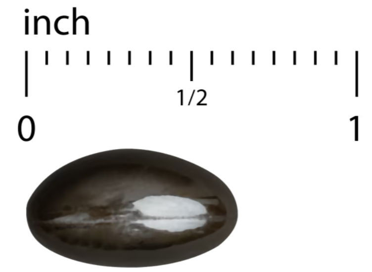 Bacteril™ Extra Strength