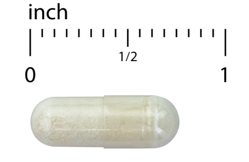 FloraSure Probiotic