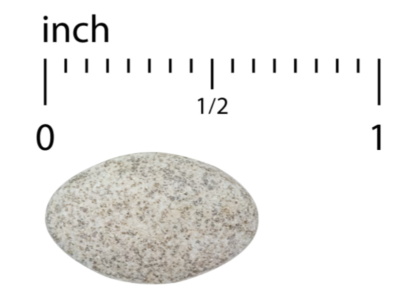 Vectomega® (Tablets)
